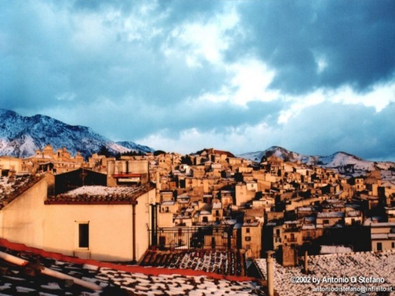 Immagine live dalla webcam